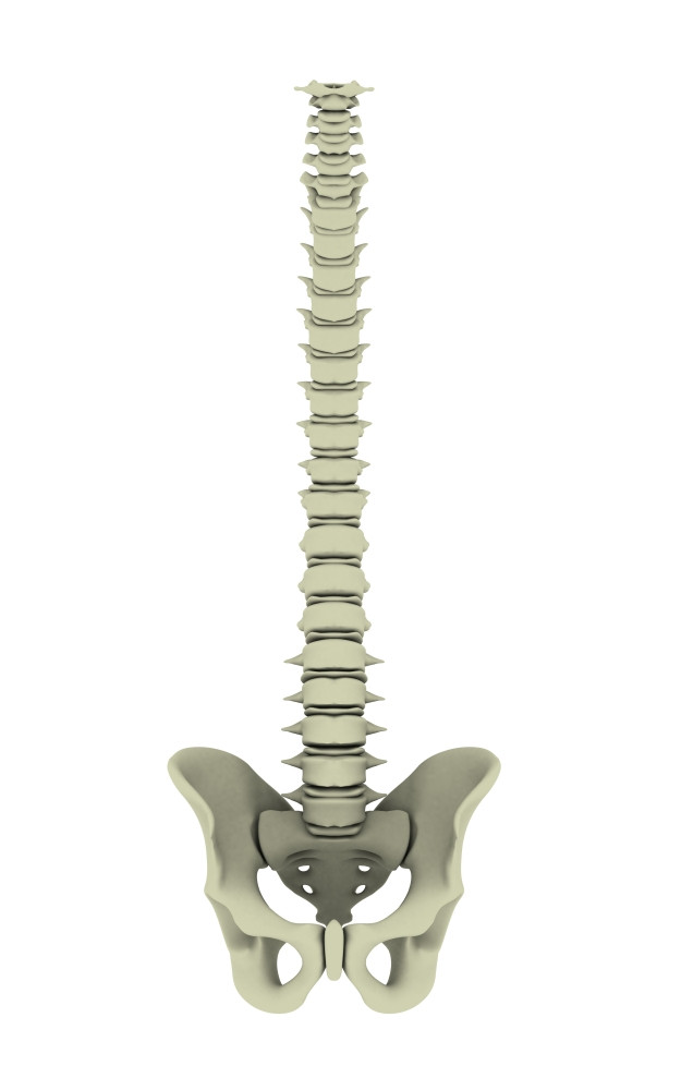 Conceptual image of human backbone Poster Print - Item ...