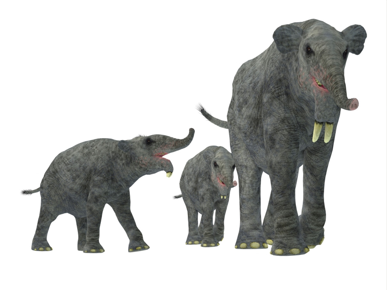 Deinotherium with offspring. Deinotherium was an enormous land mammal that  lived in Asia, Africa and Europe during the Miocene to Pleistocene Periods  Poster Print - Item # VARPSTCFR200653P - Posterazzi