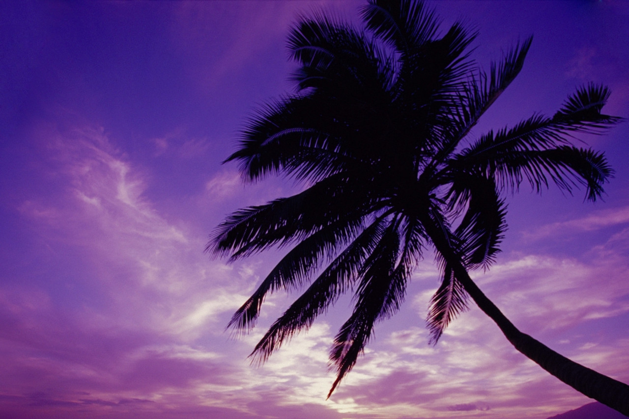 hawaiian purple sunset