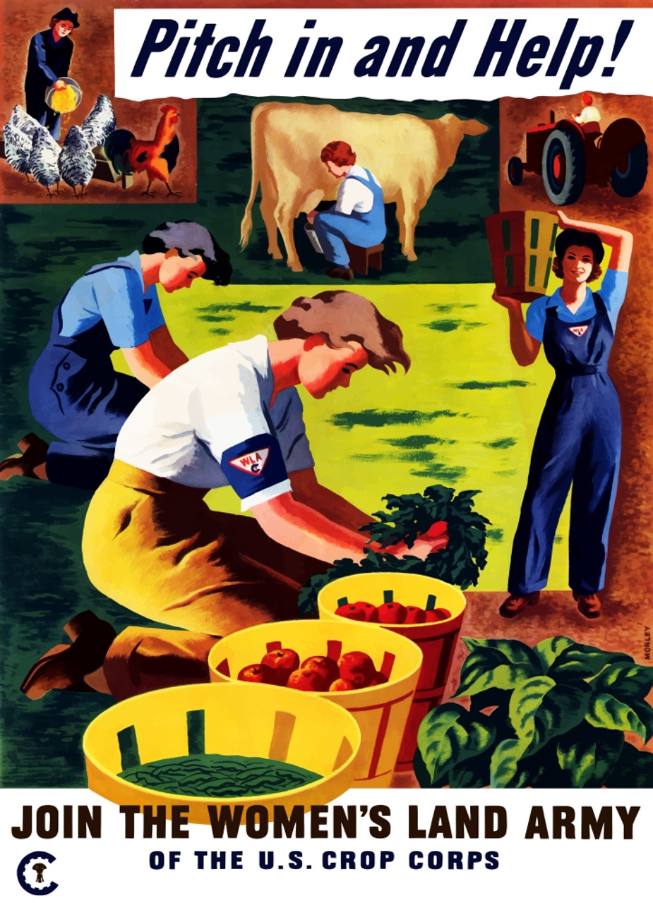 Vintage World War Ii Propaganda Poster Featuring Several Women