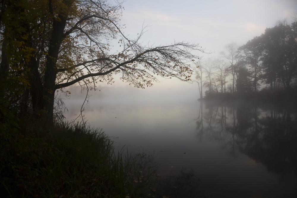 Dawn at pond in autumn; Salem, Connecticut, United States of America  PosterPrint - Item # VARDPI12257317 - Posterazzi