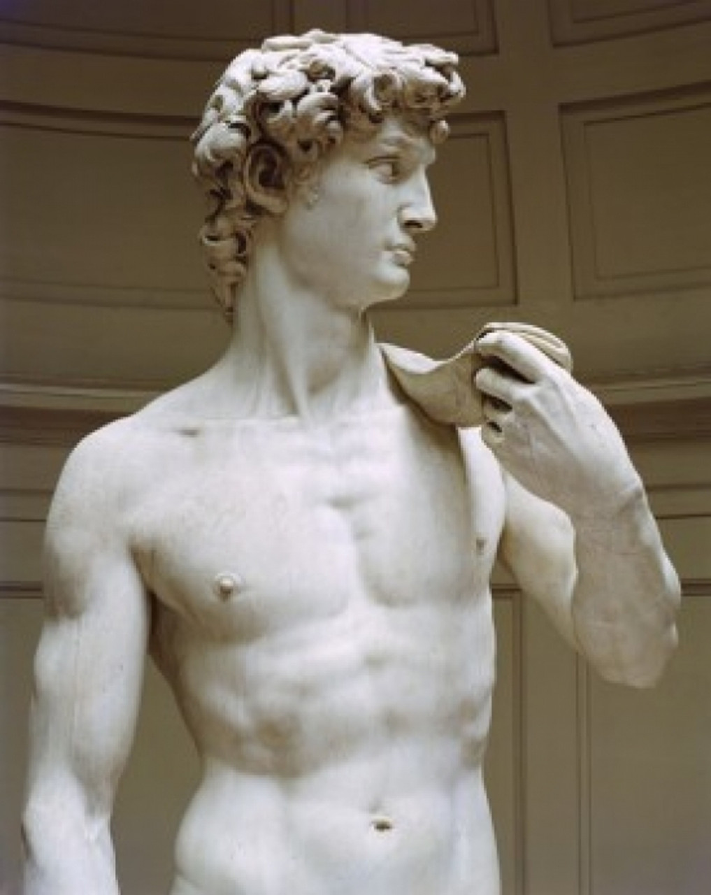 David ca.150104 Michelangelo Buonarroti Marble Galleria dell'Accademia