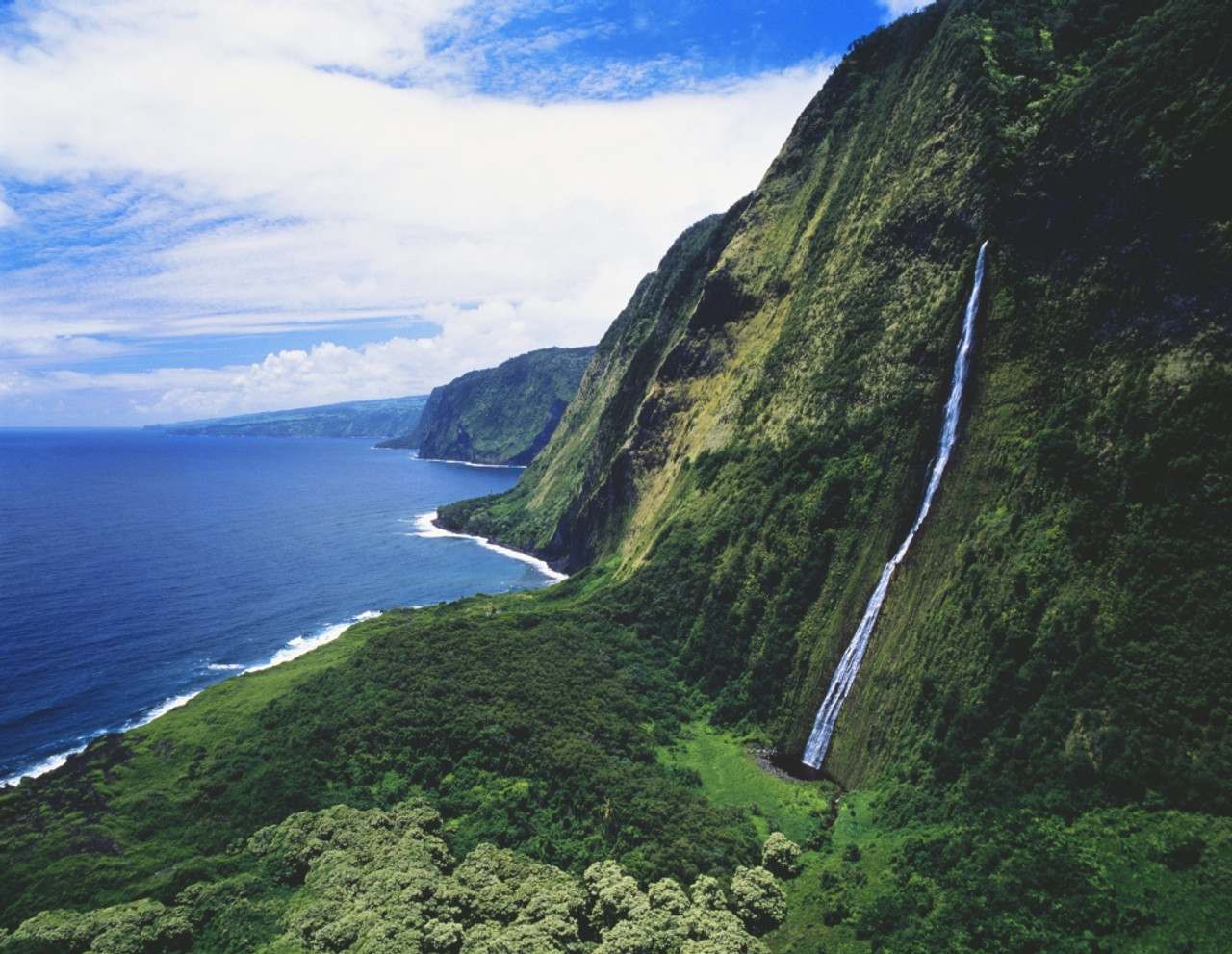 (未使用･未開封品)Waterfalls of Hawaii [DVD] 未使用・未開封品)Waterfalls of Hawaii [DVD]