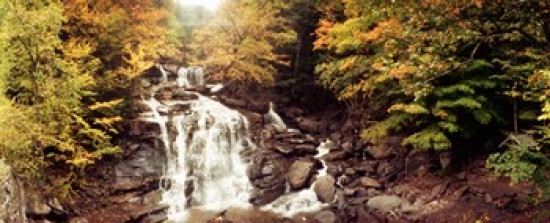 Kaaterskill Falls stream through the forest of the Catskill