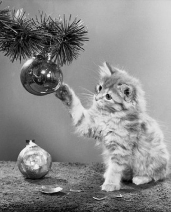 Close-up of a cat playing with a Christmas ornament on a Christmas