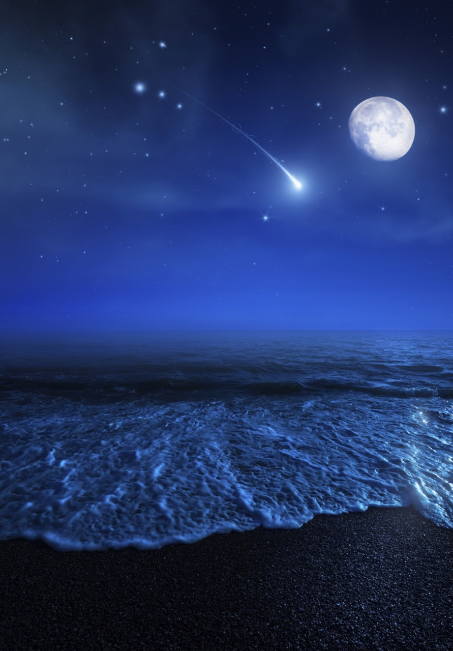 ocean at night with moon