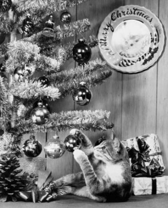 Close-up of a cat playing with a Christmas ornament on a Christmas
