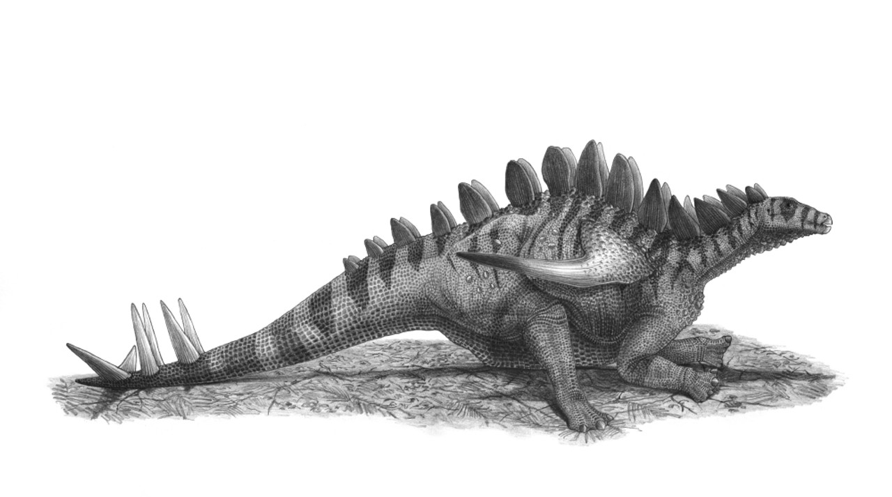 Finished this little pencil drawing. Hadn't drawn a dino in 10+ years. : r/ Dinosaurs