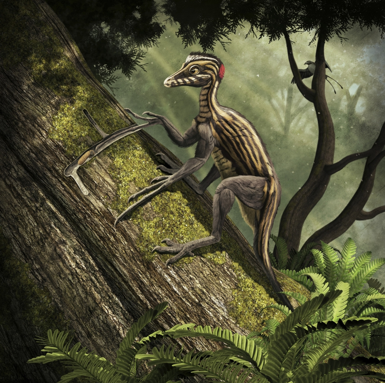 Epidendrosaurus Ninchengensis A Tree Dwelling Theropod Specializing In Capturing Wood Worms With Its Extremely Elongated Finger Late Jurassic Of China Poster Print Item Varpstrgmp Posterazzi