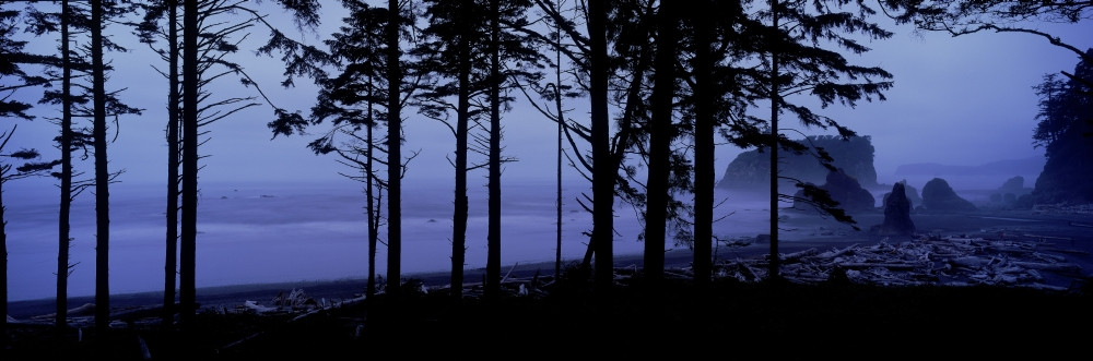 Fv5463, Ron Watts; Usa, Washington State, Olympic National Park, Ruby  Beach, Sea Stacks, Sunset PosterPrint - Item # VARDPI2010128 - Posterazzi