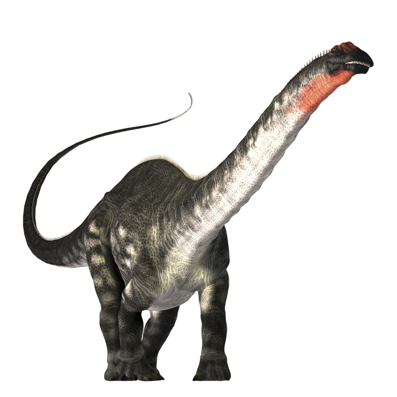 apatosaurus jurassic park