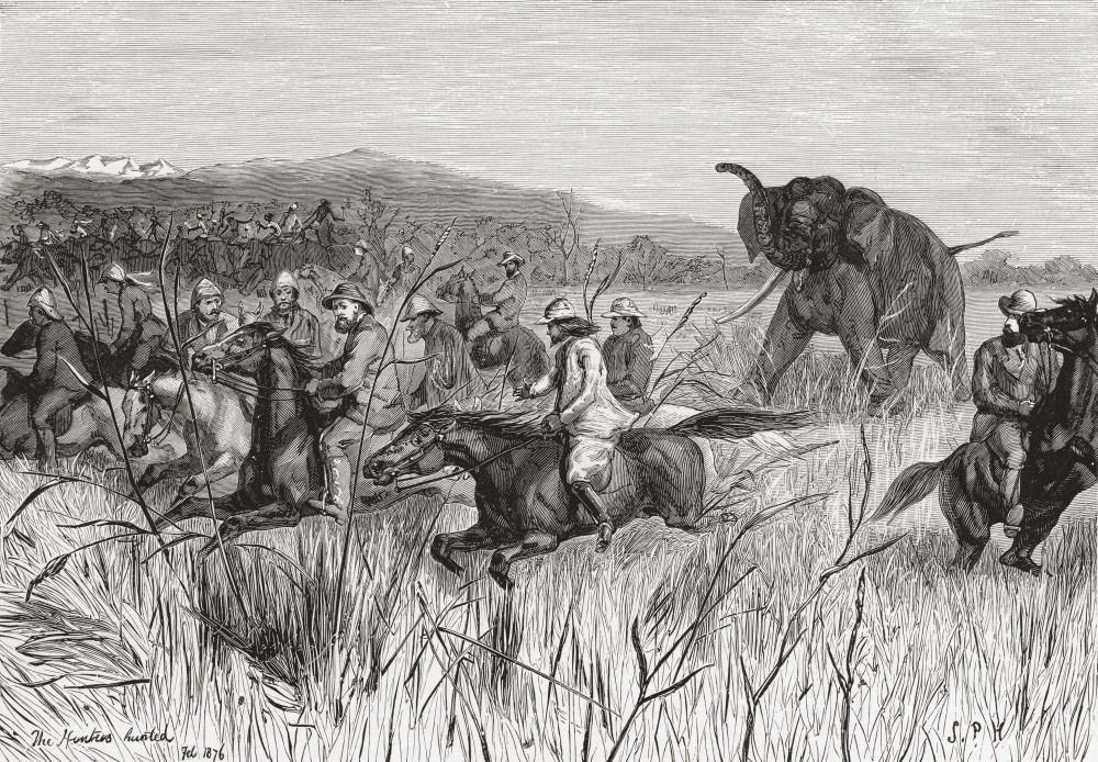 Elephant hunters in the 19th century being charged by an elephant. From