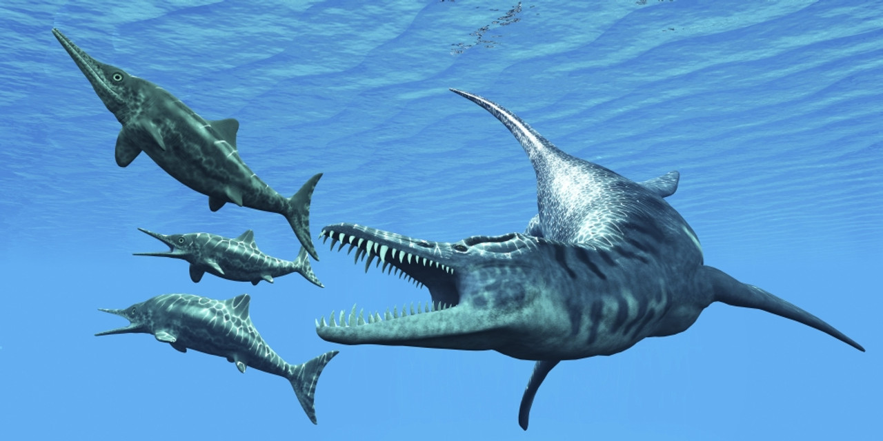 Liopleurodon reptile hunting Ichthyosaurus dinosaurs in Jurassic seas Poster Print - Item # VARPSTCFR200231P - Posterazzi
