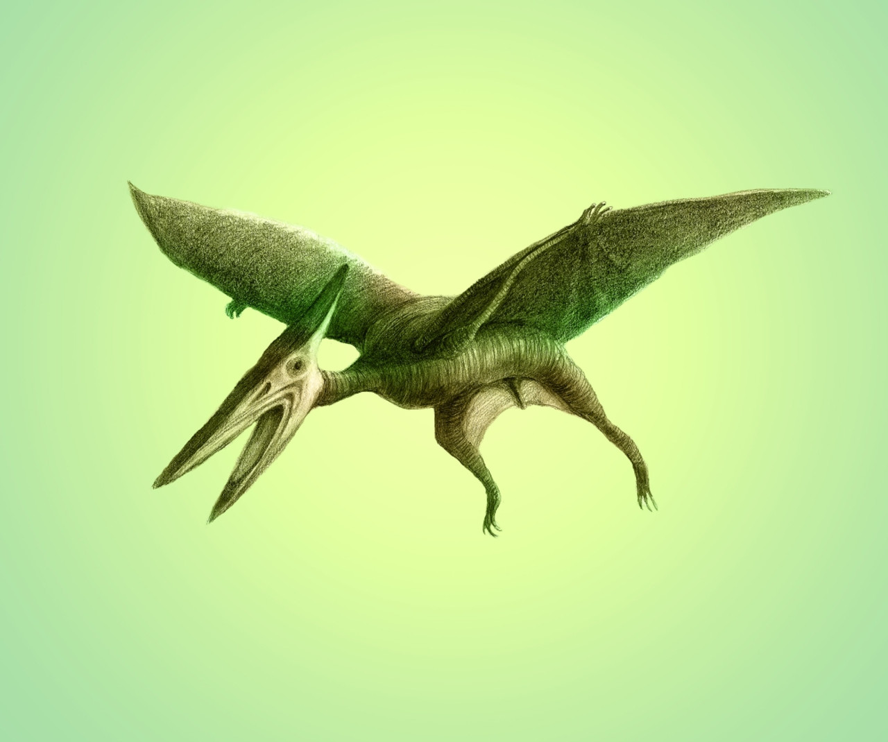 Pterodactyl Poster