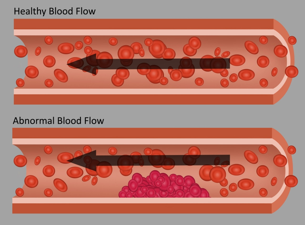 api7sr81e__71678.1627206109.jpg?c=2