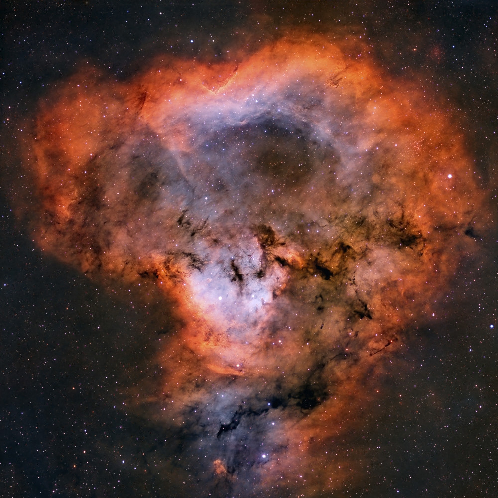NGC 7822 emission nebula. Poster Print by Rolf Geissinger