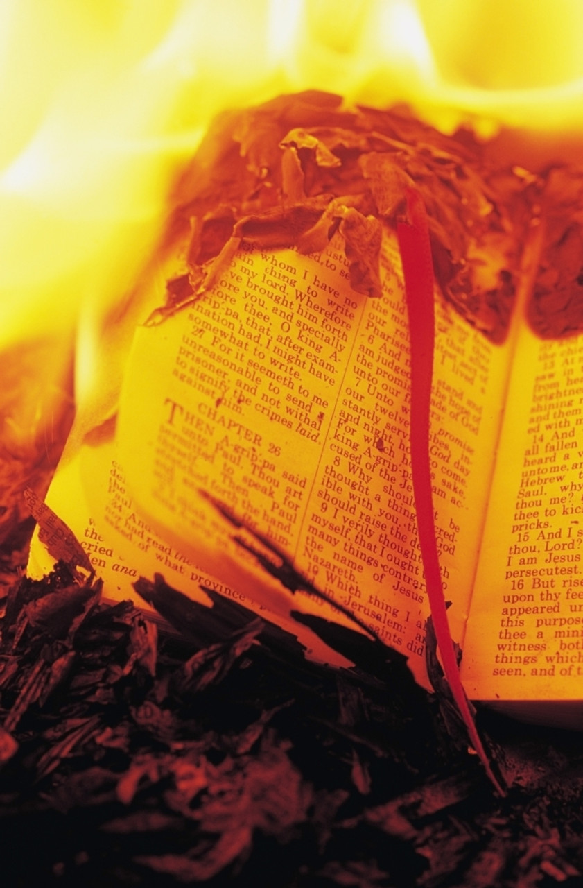 burning book art