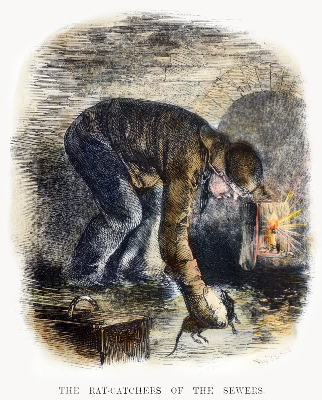 Rat Catcher, 19Th Century. /Na Rat Catcher At Work In The Sewers
