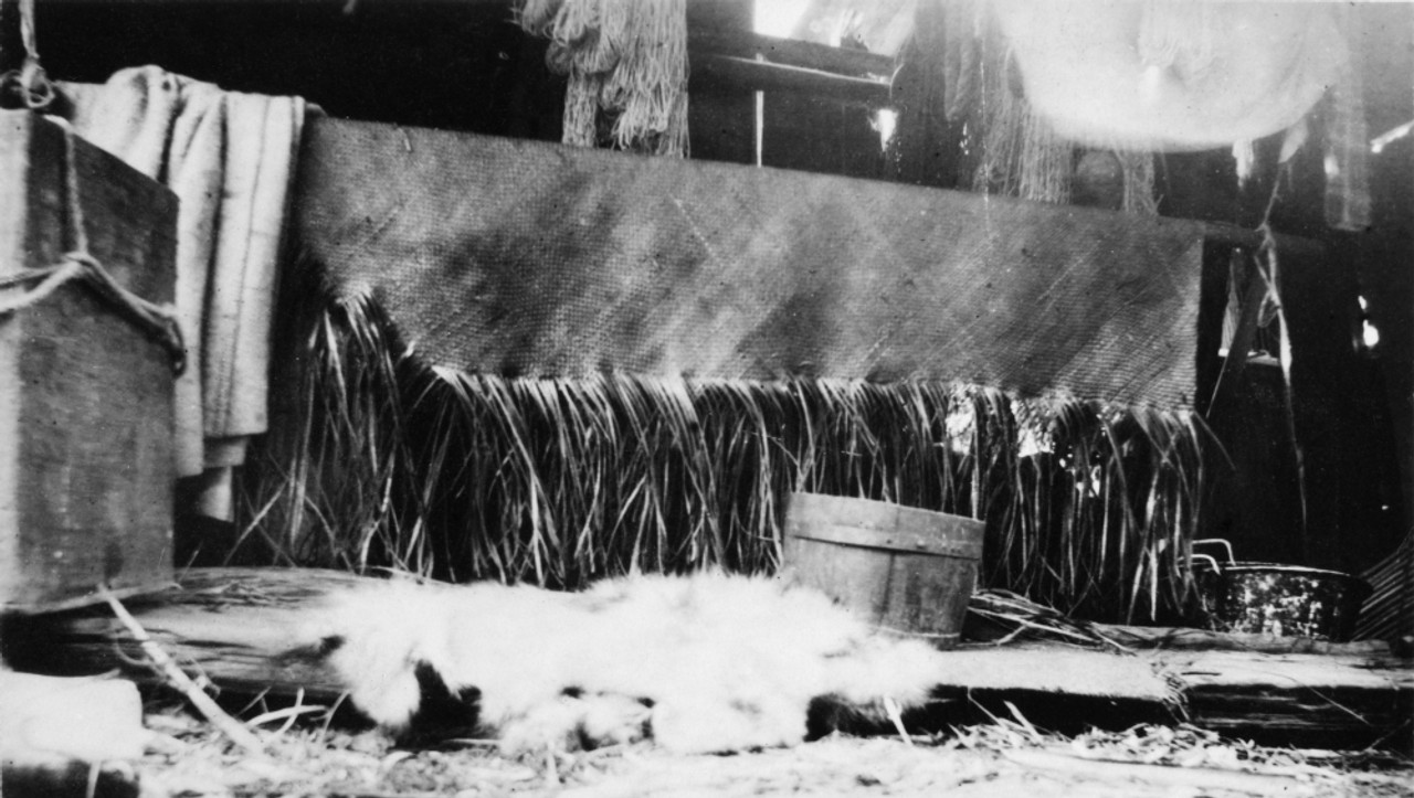 Canada: Cedar Bark Fabric. /Na Partially Woven Sheet Of Cedar Bark Fabric  Hanging In Front Of A Native American House In British Columbia