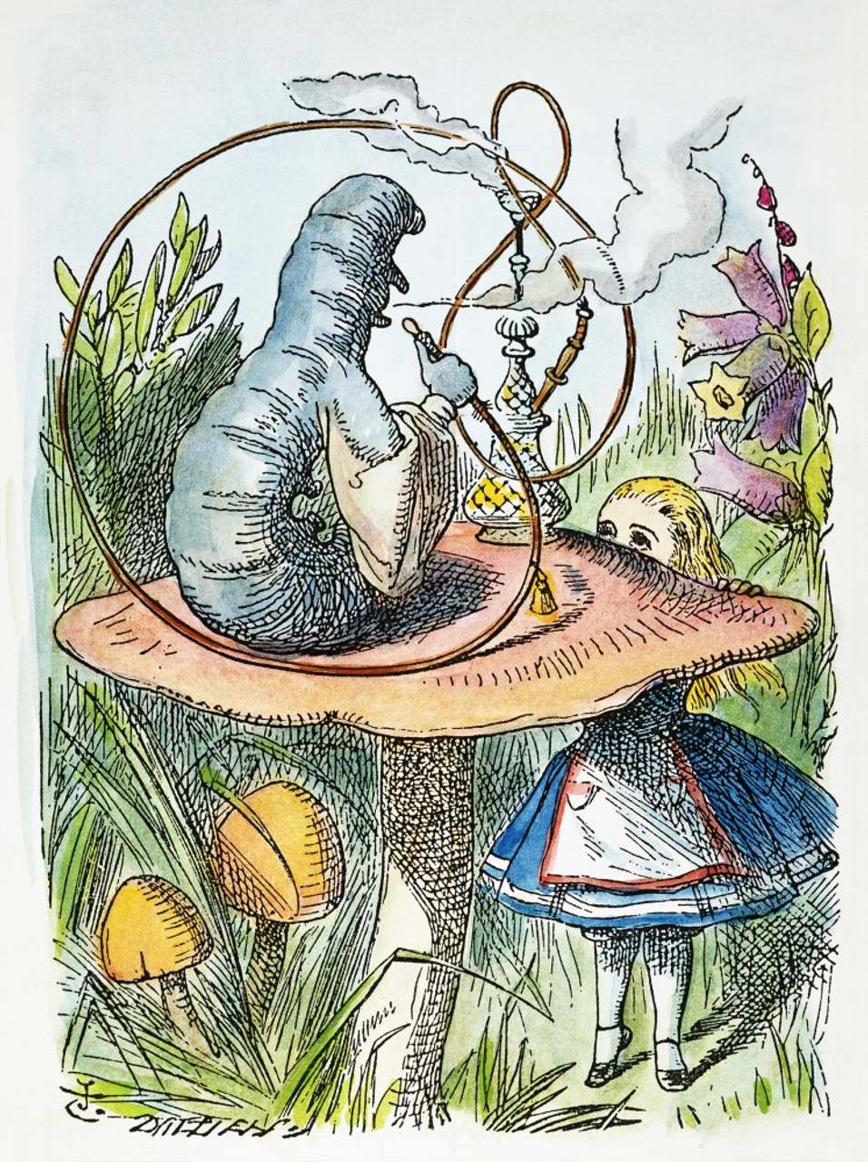 Alice In Wonderland