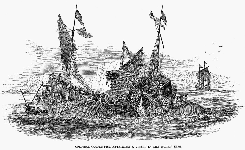 Giant Cuttlefish, 1860. /Ngiant Cuttlefish Attacking A Vessel In The ...