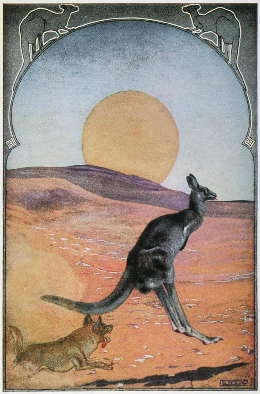 Kipling Just So Stories Nthe Sing Song Of Old Man Kangaroo Illustration By Joseph Michael 8679