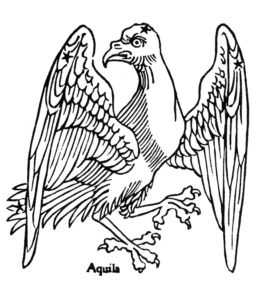 aquila constellation drawing