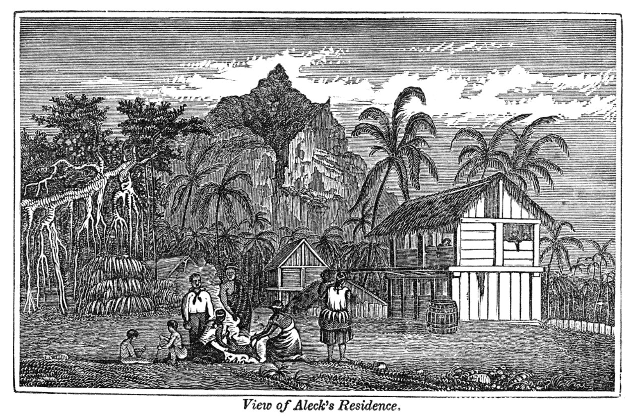 Pitcairn Island. Nhome Of John Adams C1760 1829 . Nalias Alexander Smith The Last Surviving Mutineer Of Hms Bounty . Wood Engraving 1855. Poster