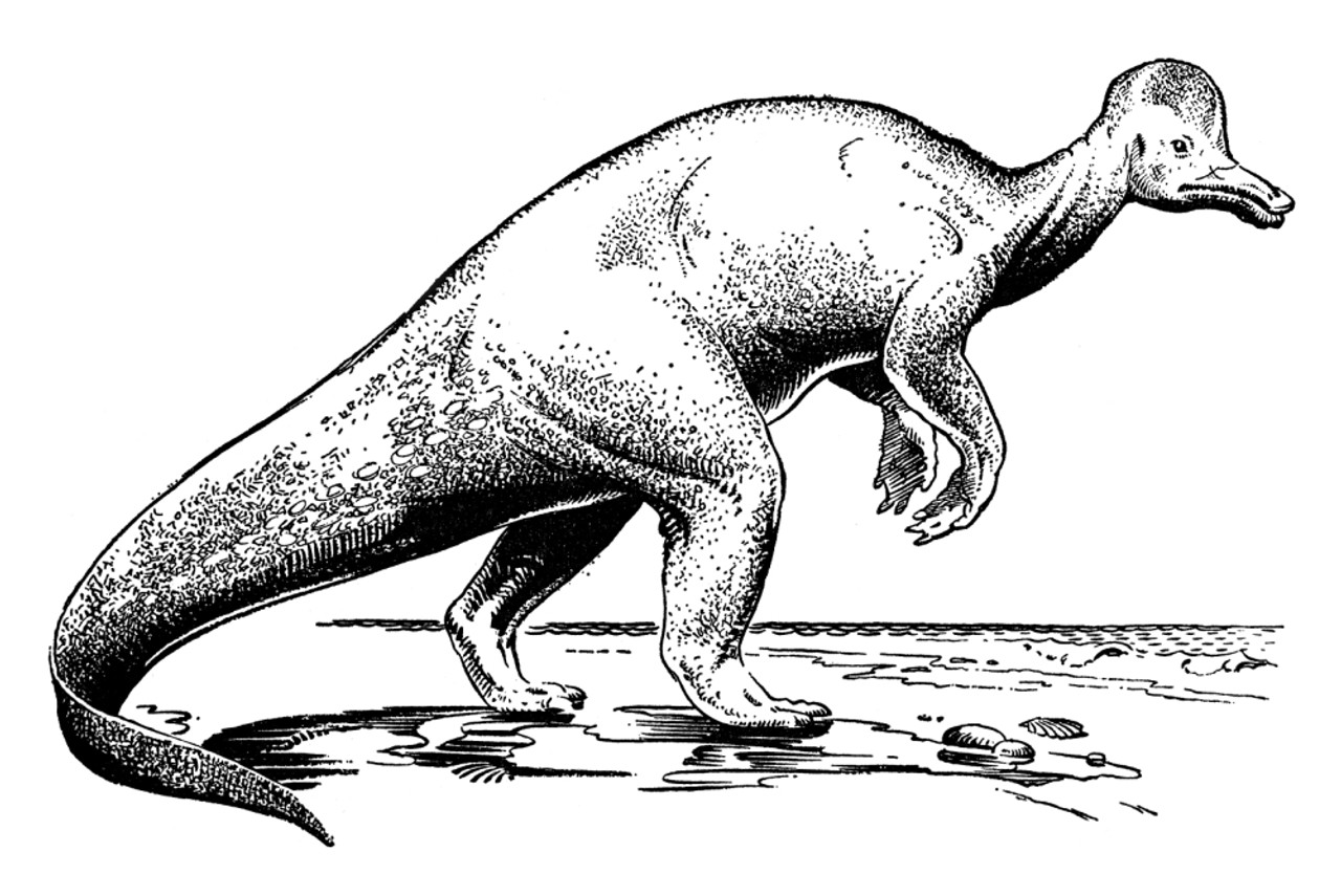 corythosaurus coloring page