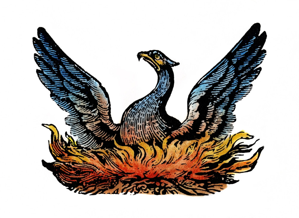Phoenix Rising From Ashes. /Namerican Typefounder'S Cut, 19Th