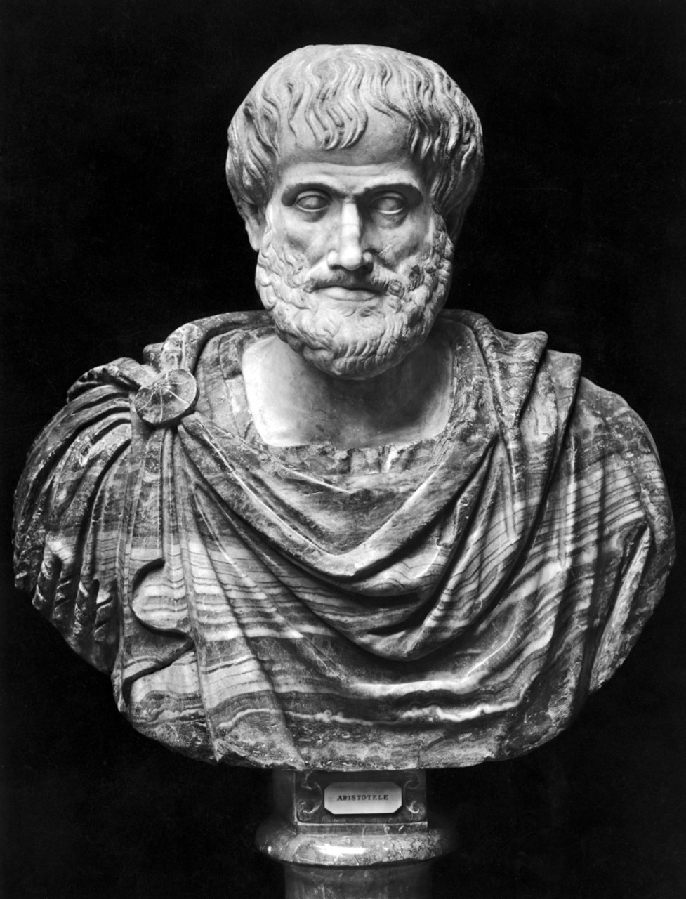 aristotle the philosopher