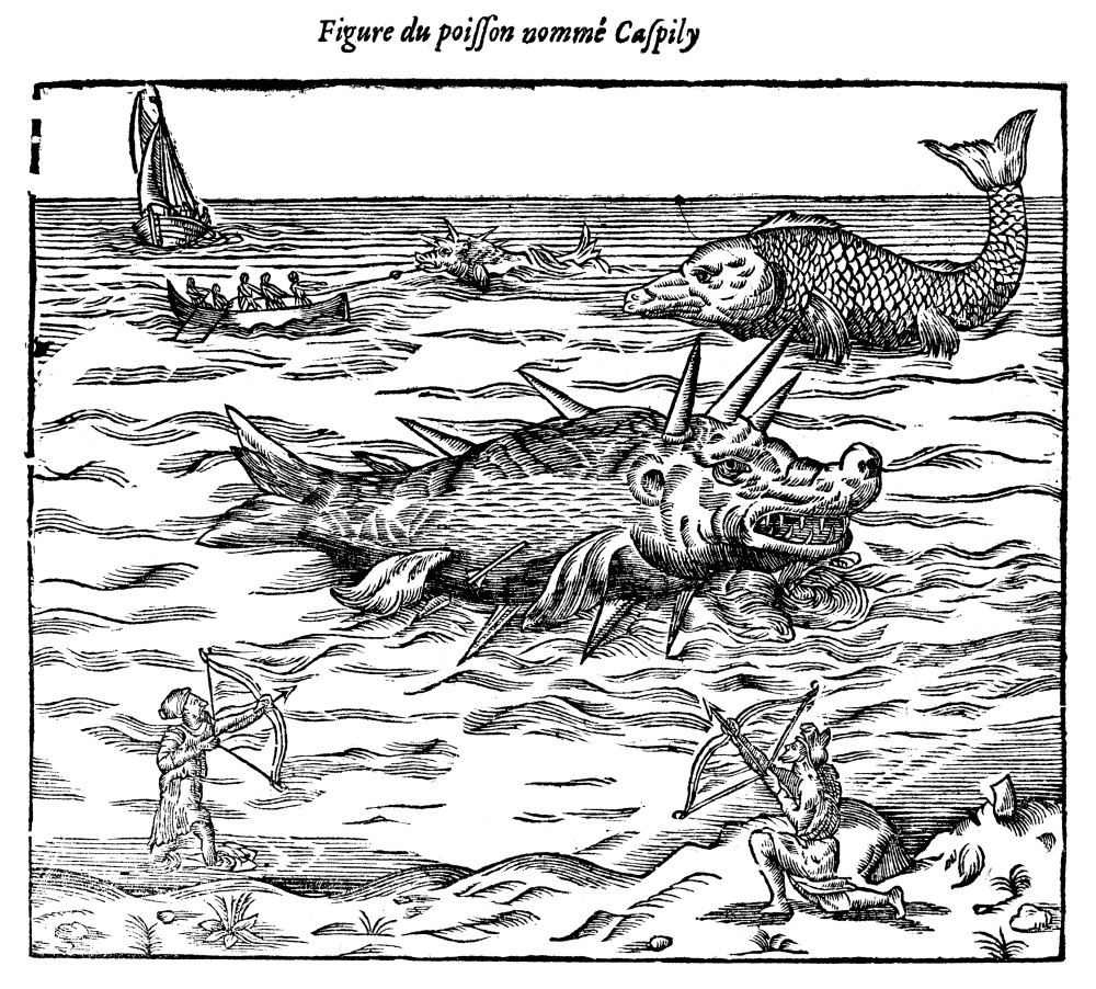 Sea Monster, 16Th Century. /Nmariners Battling Sea Monsters