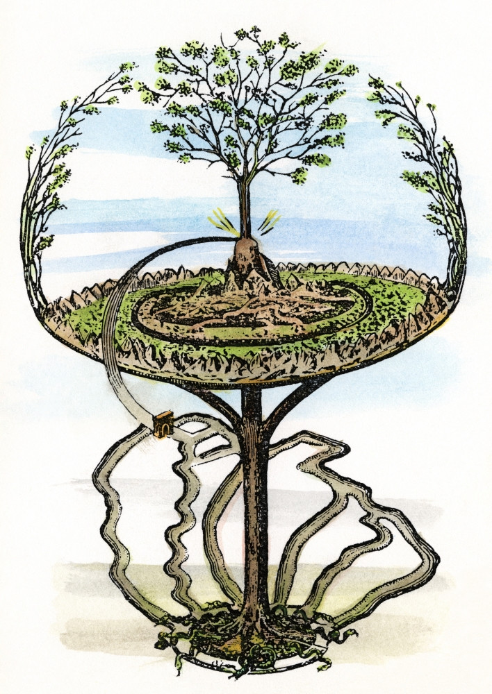 Yggdrasil Tree