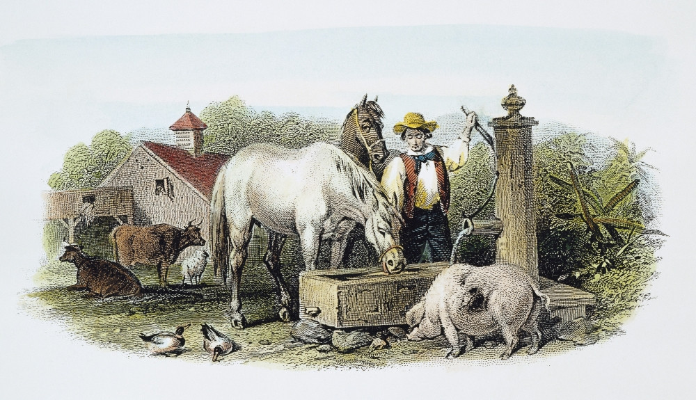 Farmer At Well, 1860. /Na 19Th-Century American Farm Scene: Steel