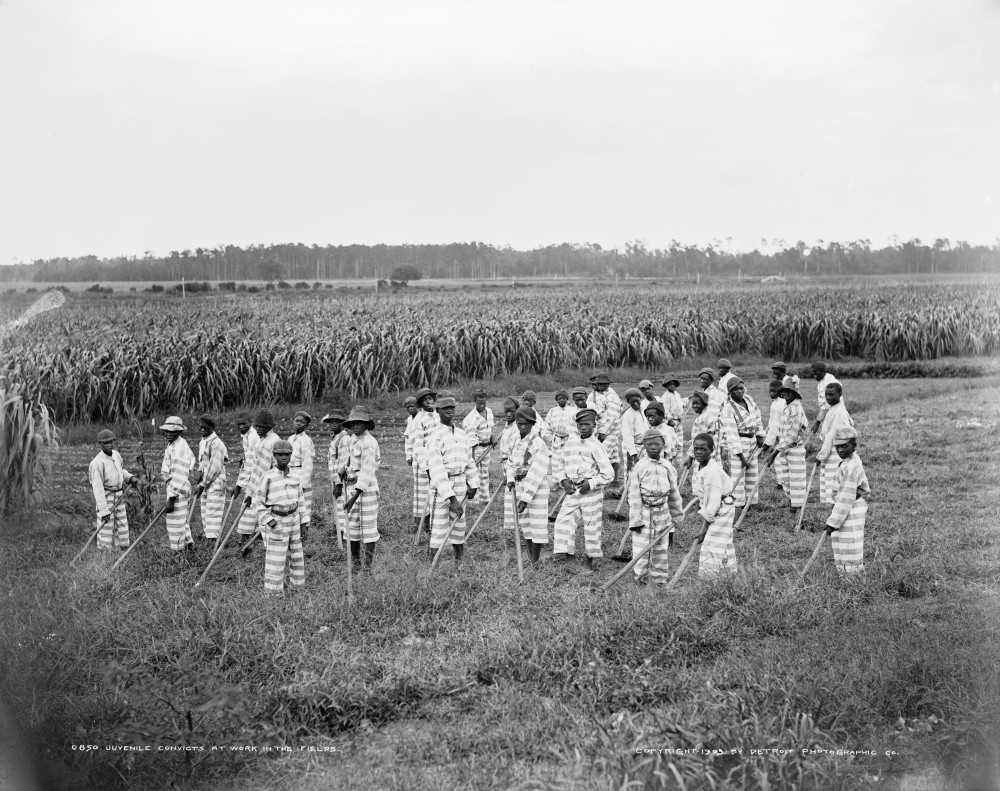 Chain Gang, C1903. /Na Group Of Juvenile Convicts On A Chain Gang