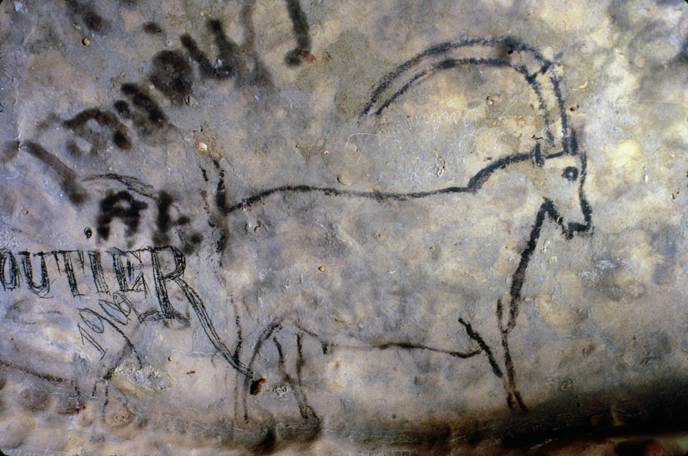 Great Ceiling Rouffignac Cave Art: Ibex. /Nibex Painted In Black Outline On The Grand Ceiling Of ...