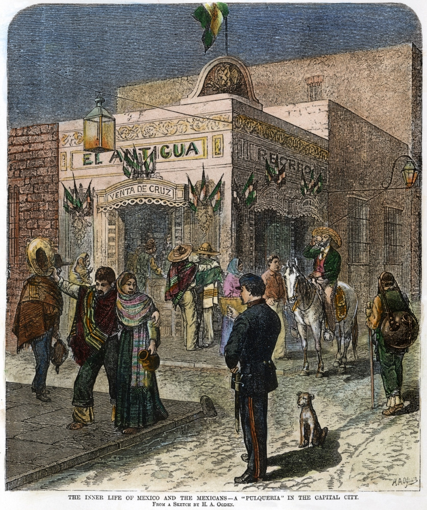 額縁込みメキシコ画家ミッドセンチュリー Mexico City, 1881. /Na Pulqueria In Mexico City. Wood Engraving