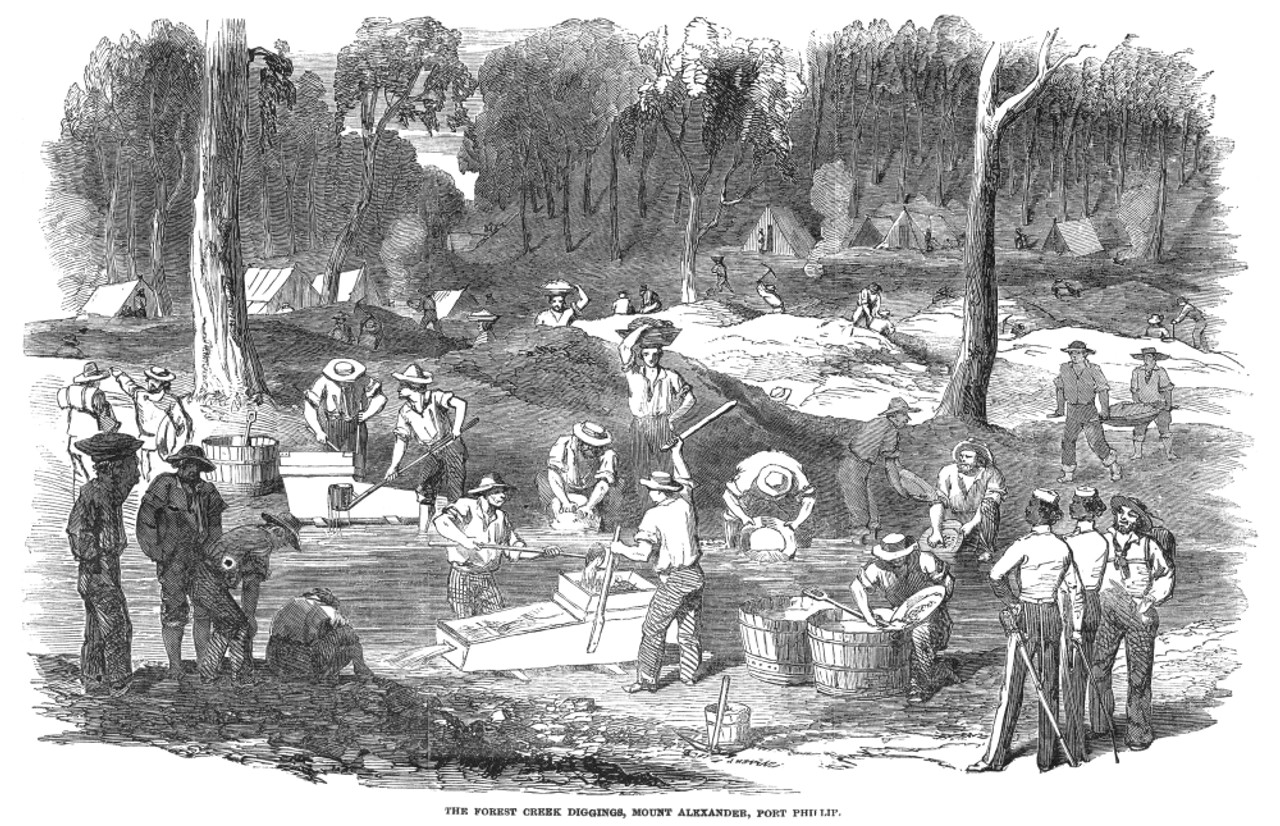 Australian Gold Rush, 1851. /Nthe Forest Creek Diggings At Phillip, Victoria: Wood Engraving From An English Newspaper Of 1852. Poster Print by Granger Collection - Item # VARGRC0004576 -
