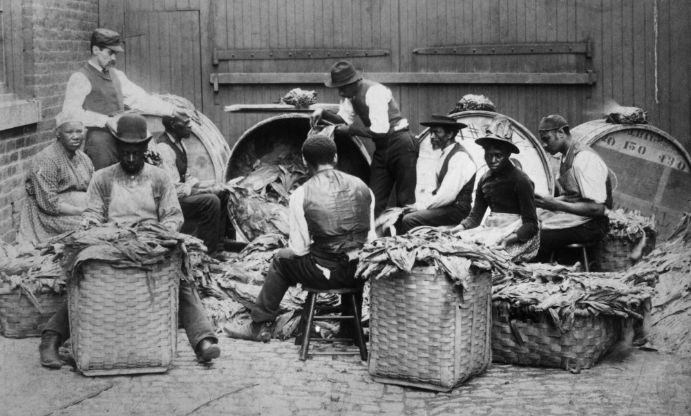 tobacco drying basket Tobacco, 19Th Century. /Nworkers Stemming And Drying Tobacco By Hand.  Photograph, Late 19Th Century. Poster Print by Granger Collection - Item #  VARGRC0260051