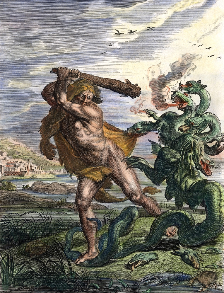 ヘラクレスヒドラ