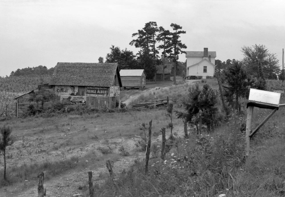 Tobacco Farm, 1939. /Na Hillside Farmhouse, Outbuildings And Tobacco Field  With Erosion In Person County, North Carolina. Photograph By Dorothea  Lange, July 1939. Poster Print by Granger Collection - Item # VARGRC0123892 