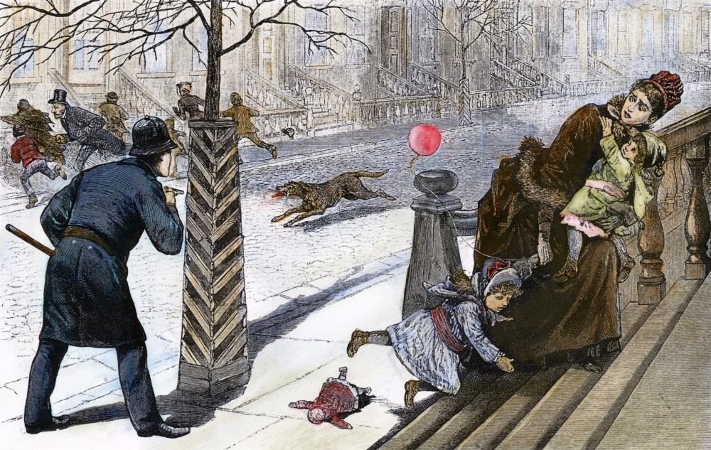 Rabies Epidemic, 1886. /Nthe Mad Dog Epidemic. Scene On An Uptown ...