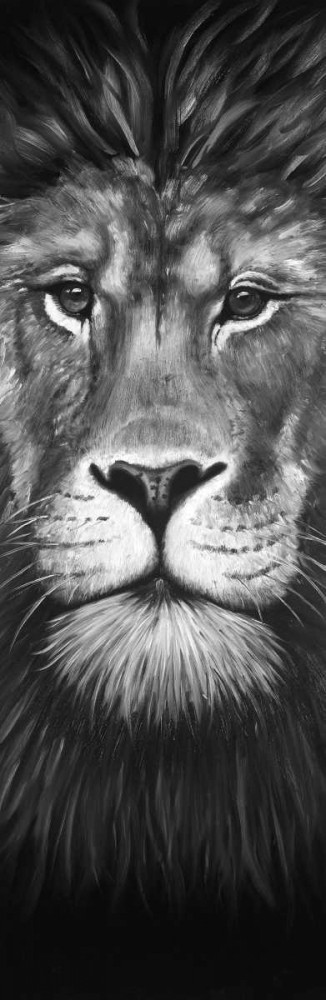 lion photography studio