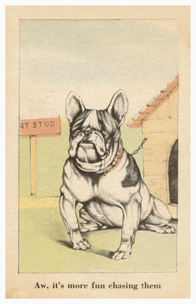 Humorous vintage postcard of a dog. Art by Vincenzo Zito Poster Print by Vincenzo Zito Item