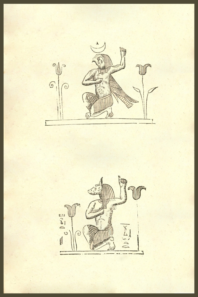 Renaissance woodcut Ram. From the 1642 book Monstrorum Historia by ...