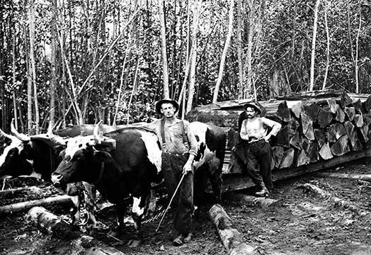 Darius Kinsey was a photographer active in western Washington State