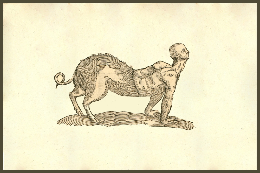 Porcus Parte Antica Humana, half human half pig. From the 1642 book  Monstrorum Historia by Ulisse, image size:1280x854