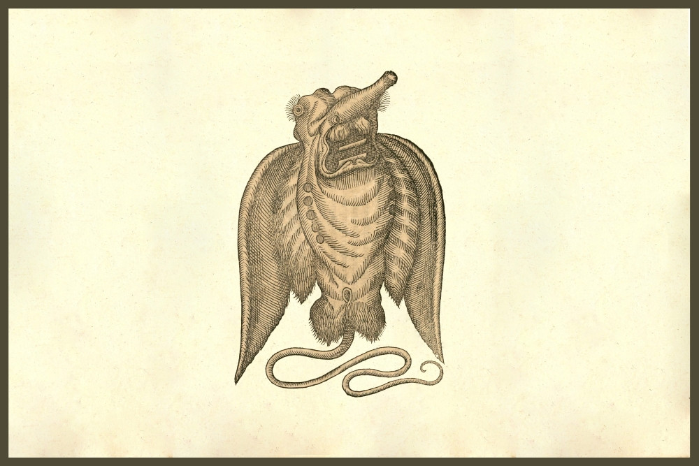 Monster fish Creature. From the 1642 book Monstrorum Historia by Ulisse ...