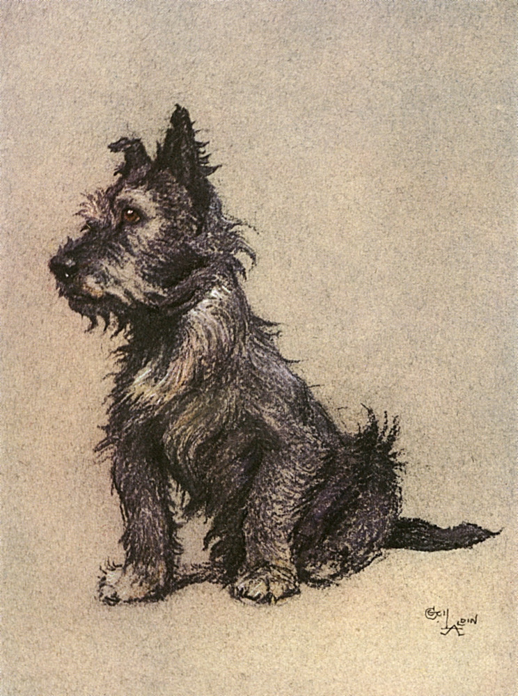 cairn terrier items