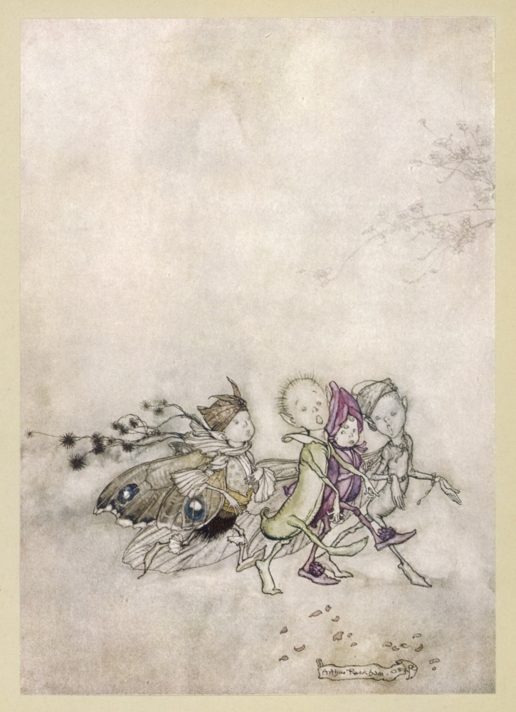 arthur rackham illustrations fairies